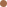 dot brown